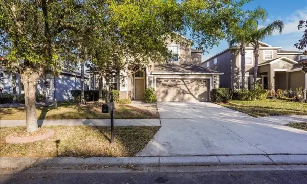 20427 Carolina Cherry Court, Tampa, FL, 33647