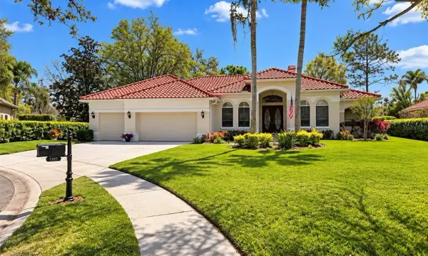 9127 Woodridge Run Drive, Tampa, FL, 33647