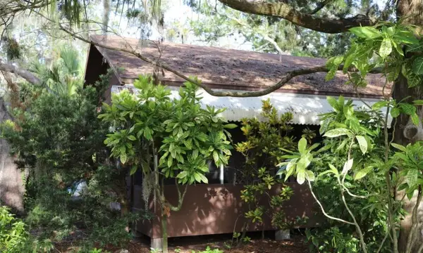260 Orange Street, Palm Harbor, FL, 34683
