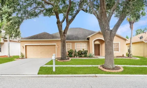 10903 Wildcat Drive, Riverview, FL, 33579