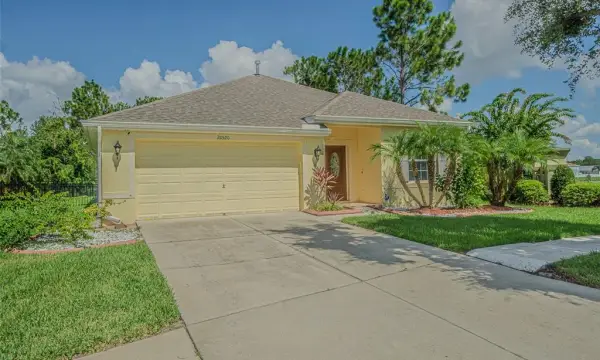 20520 Sultana Court, Tampa, FL, 33647