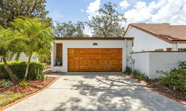 11407 Orilla Del Rio Place, Temple Terrace, FL, 33617