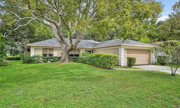 3602 Player Drive, New Port Richey, FL, 34655