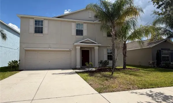 10013 Crested Fringe Drive, Riverview, FL, 33578
