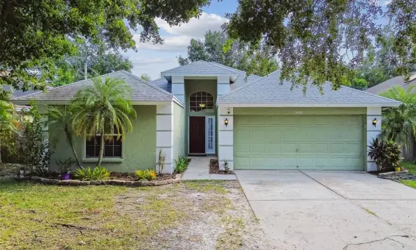 5646 Paddock Trail Drive, Tampa, FL, 33624
