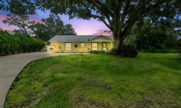 12028 San Angela Drive, San Antonio, FL, 33576