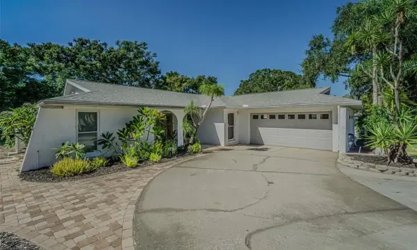 565 Sandy Hook Road, Palm Harbor, FL, 34683