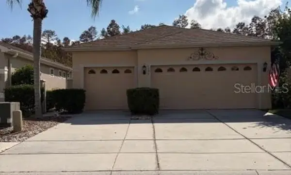 7536 Berna Lane, Land O Lakes, FL, 34637