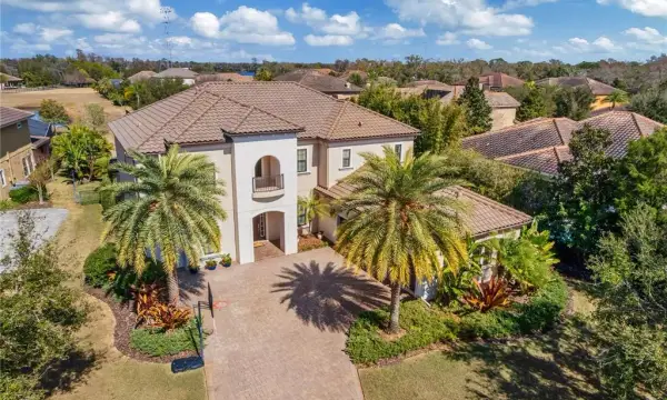 9127 Tillinghast Drive, Tampa, FL, 33626
