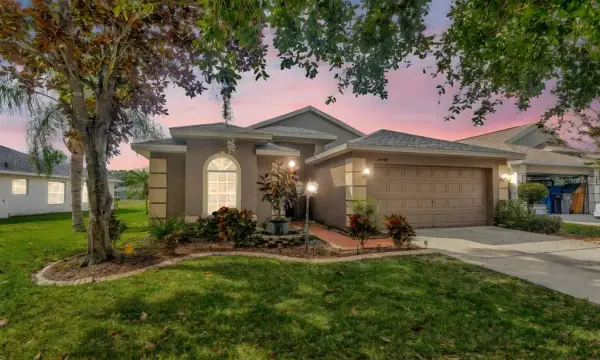 19519 Morden Blush Drive, Lutz, FL, 33558