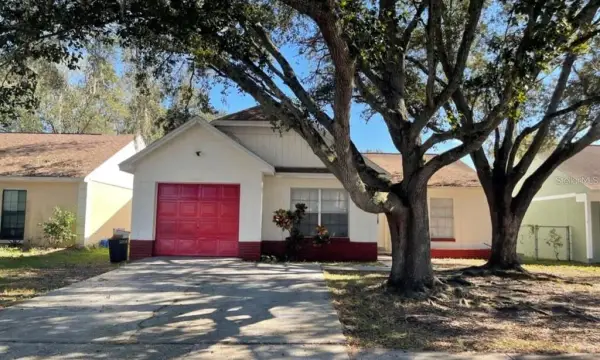 8211 Clermont Street, Tampa, FL, 33637