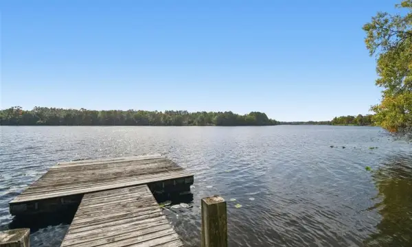 4601 River Hills Drive, Tampa, FL, 33617