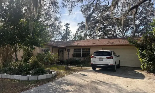 7012 Doreen Street, Tampa, FL, 33617