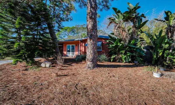 406 Orchid Lane, Palm Harbor, FL, 34683