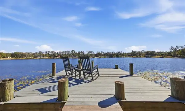 9214 Rhea Drive, Odessa, FL, 33556