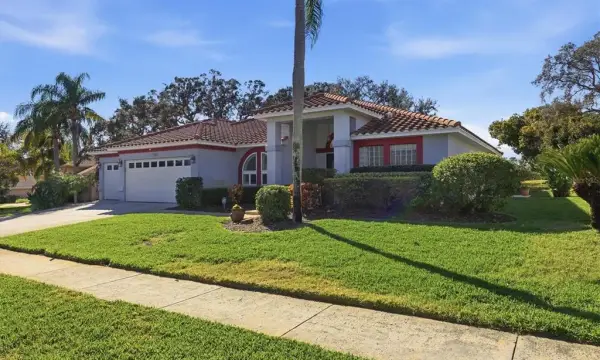 716 Woodmont Drive, Tarpon Springs, FL, 34689