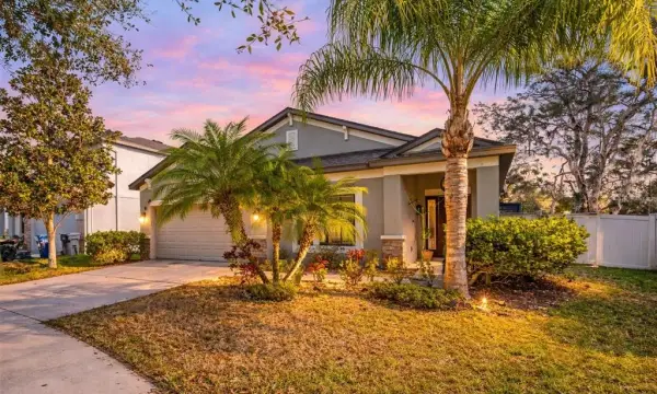 11652 Palmetto Pine Street, Riverview, FL, 33569