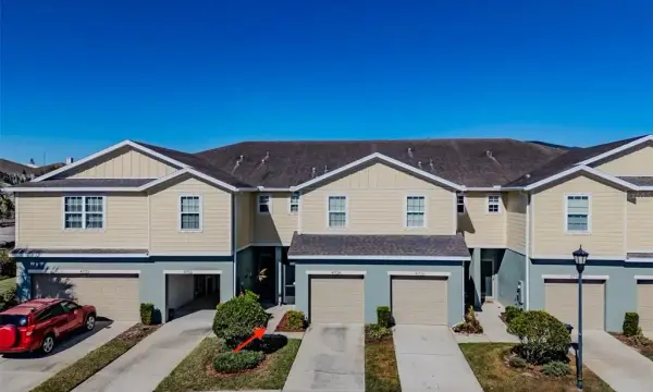4734 White Sanderling Ct Court, Tampa, FL, 33619