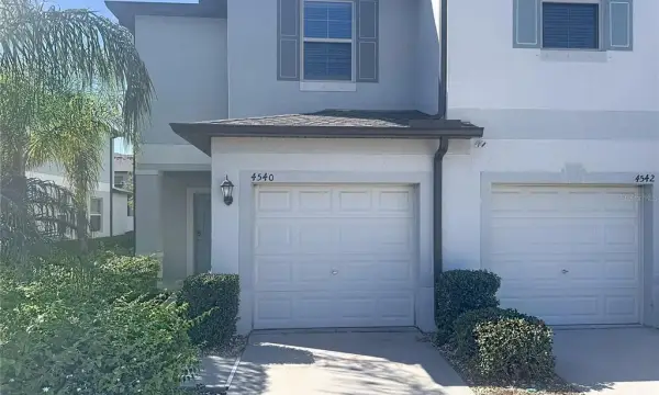 4540 Globe Thistle Drive, Tampa, FL, 33619