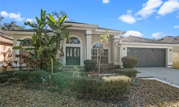 3616 Cypress Meadows Road, Tampa, FL, 33624
