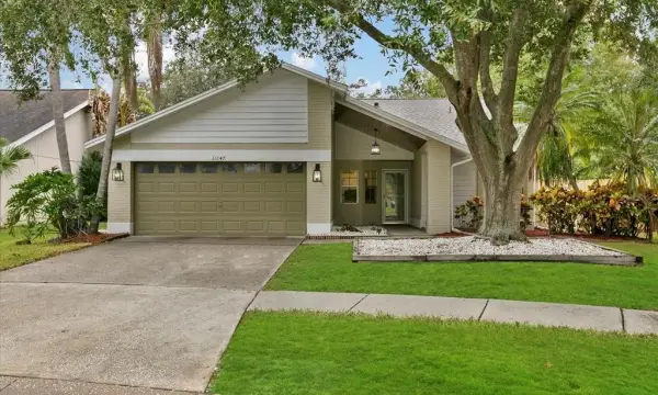 11647 Fox Creek Drive, Tampa, FL, 33635