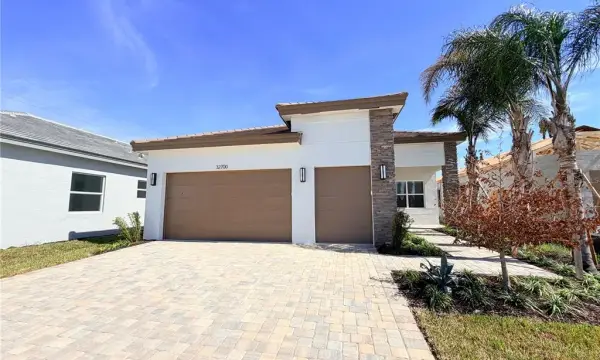 32700 Neroli Street, Wesley Chapel, FL, 33543