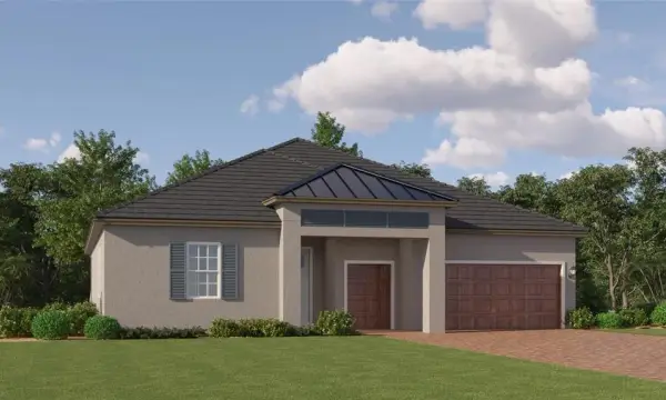 9299 Minnow Ray Drive, Land O Lakes, FL, 34638