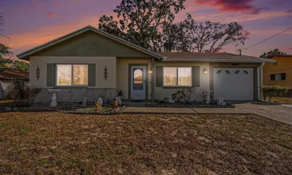 11116 Marquette Street, Spring Hill, FL, 34609