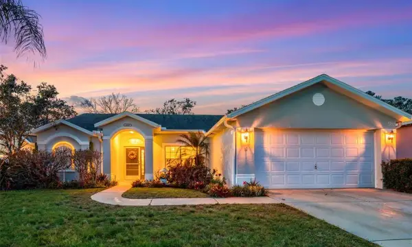 14419 Pimberton Drive, Hudson, FL, 34667