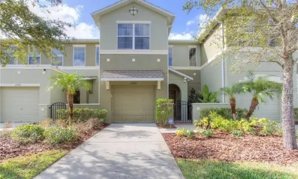 2955 Willowleaf Lane, Wesley Chapel, FL, 33544