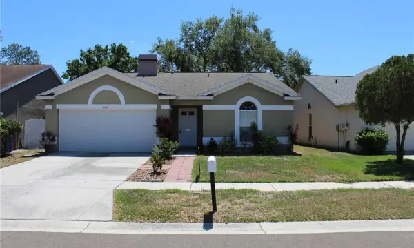 11111 Bramblebrush Street, Tampa, FL, 33624