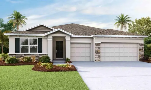 2156 Sienna Spruce Street, Wesley Chapel, FL, 33543