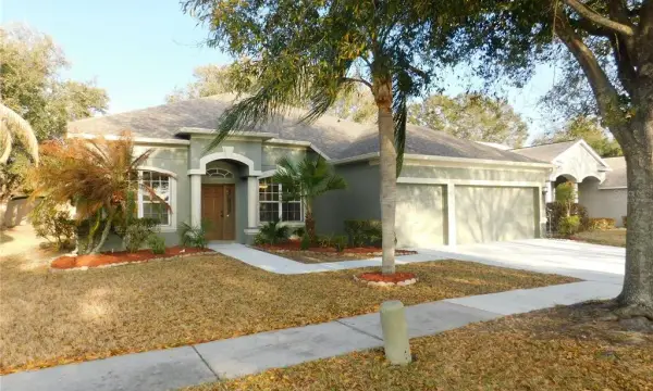 12902 Cattail Shore Lane, Riverview, FL, 33579