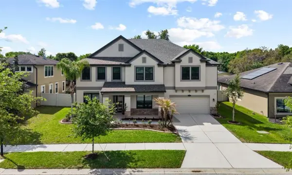 11741 Albatross Lane, Riverview, FL, 33569
