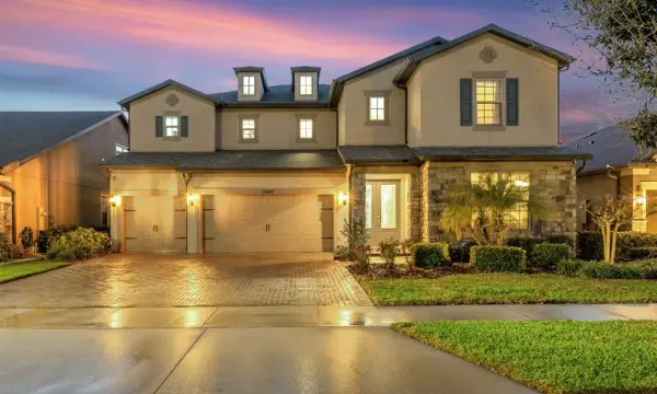 10407 Tree Skylark Place, Riverview, FL, 33569