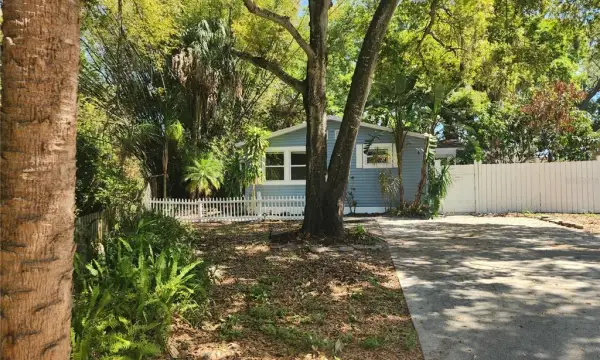 504 Belmont Street, Safety Harbor, FL, 34695