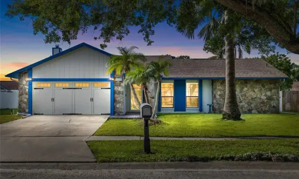 6713 Leeward Isle Way, Tampa, FL, 33615
