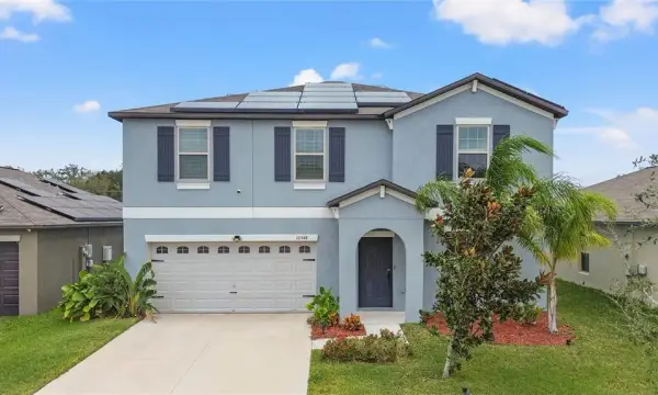 10348 Scarlet Skimmer Drive, Riverview, FL, 33578
