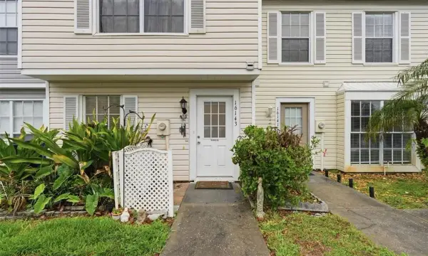 16143 Rambling Vine Drive E, Tampa, FL, 33624