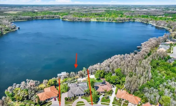 5643 White Ibis Lane, Land O Lakes, FL, 34638
