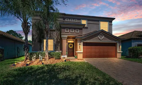 11922 Frost Aster Drive, Riverview, FL, 33579