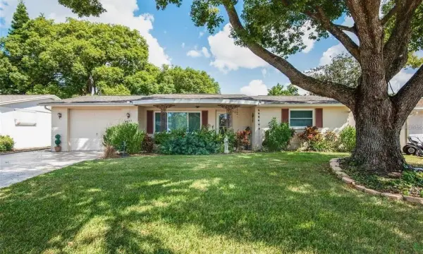 3802 Mynabird Drive, New Port Richey, FL, 34652