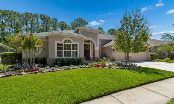 10423 Greenhedges Drive, Tampa, FL, 33626