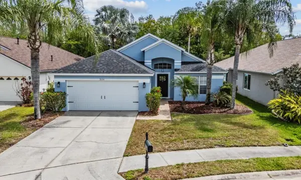 2634 Palesta Drive, Trinity, FL, 34655