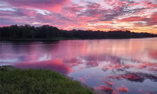 3401 E SLIGH AVENUE, TAMPA, FL, 33610