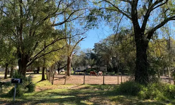 5614 Watson, Riverview, FL, 33578