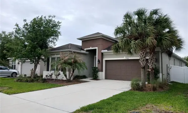 29900 Walsh Oak Drive, Wesley Chapel, FL, 33545
