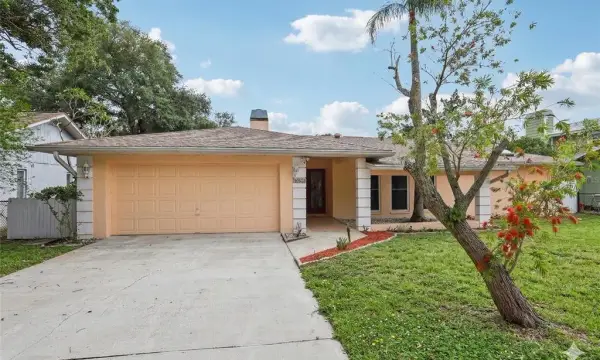 1576 Ohio Avenue, Palm Harbor, FL, 34683