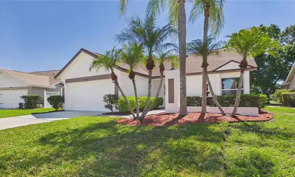 8609 Boysenberry Drive, Tampa, FL, 33635