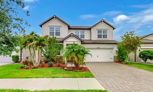 10322 Wine Press Avenue, Riverview, FL, 33578
